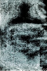 染化料基础知识  上