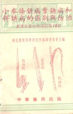 小麦条锈病叶锈病和秆锈病的区别与防治