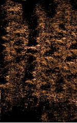 伤寒贯珠集  卷2-3