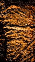 珍珠囊指掌补遗药性赋  卷3-4