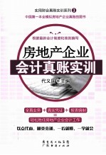 房地产企业会计真账实训