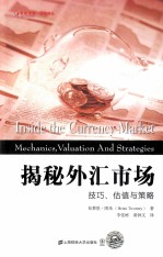 揭秘外汇市场  技巧、估值与策略
