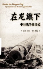 在龙旗下  中日战争目击记