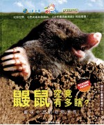 鼹鼠究竟有多瞎？  趣味十足的动物天性