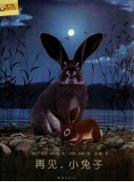 再见小兔子 封面