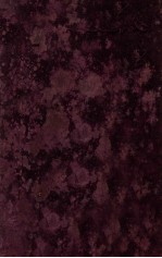 世界联邦共和国宪法