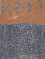 盛卸青年  2011年中国当代新锐艺术家作品集