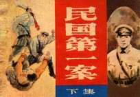 民国第一案  下