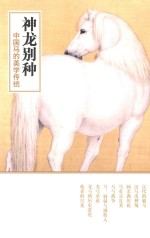 神龙别种  中国马的美学传统