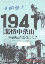 中国抗日战争战场全景画卷  悲情中条山  晋南会战影像全纪录