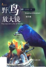 野鸟放大镜  住行篇
