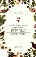 穿林而过  四月到四月的英国树林