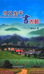 巾又生平书大略