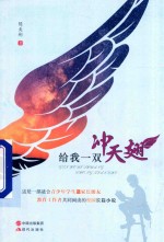 给我一双冲天翅