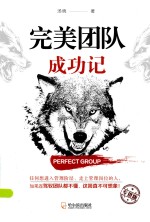 完美团队成功记