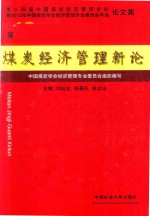 煤炭经济管理新论  第13辑