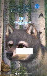 绝境狼王系列  影子  新新版
