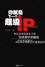 你就是下一个超级IP  成为内容网红的实操秘笈