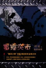 雷霆突击  军事作品 封面