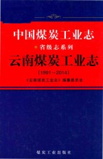 1991-2014中国煤炭工业志  省级志系列  云南煤炭工业志
