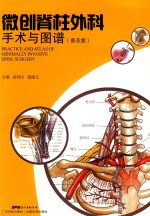 微创脊柱外科手术与图谱  普及版