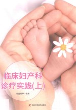临床妇产科诊疗实践  第2版  上
