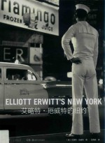 艾略特·厄威特的纽约纪实摄影大师