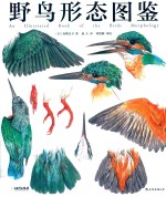 野鸟形态图鉴