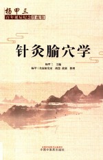 针灸腧穴学  杨甲三百年诞辰纪念珍藏版