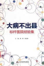 大病不出县标杆医院经验集
