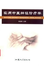 实用中医辨证诊疗学
