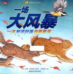 一场大风暴