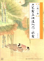 工笔禽鸟快速人门