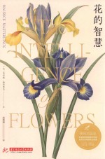 花的智慧
