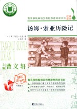 汤姆·索亚历险记