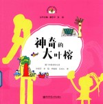 神奇的大叶榕