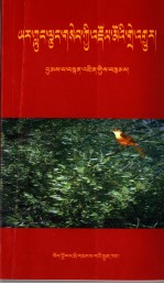 雅砻画眉鸟之妙音  强巴丹增诗歌选