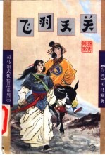 飞羽天关 电子书封面