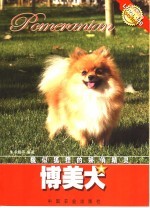 博美犬  貌似狐狸的娇俏精灵