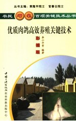 优质肉鸽高效养殖关键技术  彩插版