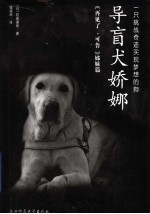 导盲犬娇娜  一只挑战奇迹实现梦想的狗