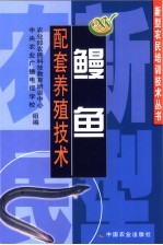 鳗鱼配套养殖技术