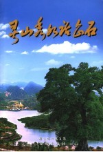 灵山秀水话企石  张耀洪主编 电子书封面