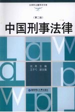 中国刑事法律  第2版