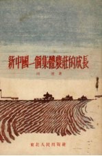 新中国一个集体庄的成长