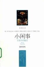 小闲事 电子书封面