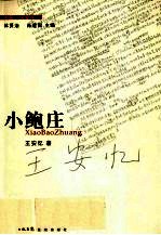 小鲍庄 电子书封面