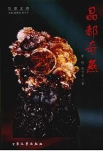 晶都奇燕 电子书封面