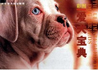 彩图爱犬宝典