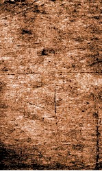 闺媛典  卷106-113